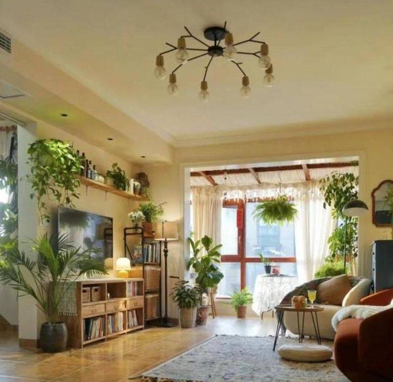 Suitable for indoor plant cultivation