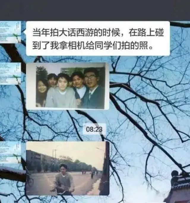 朱茵家的藏獒多少钱