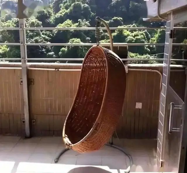 朱茵家的藏獒多少钱