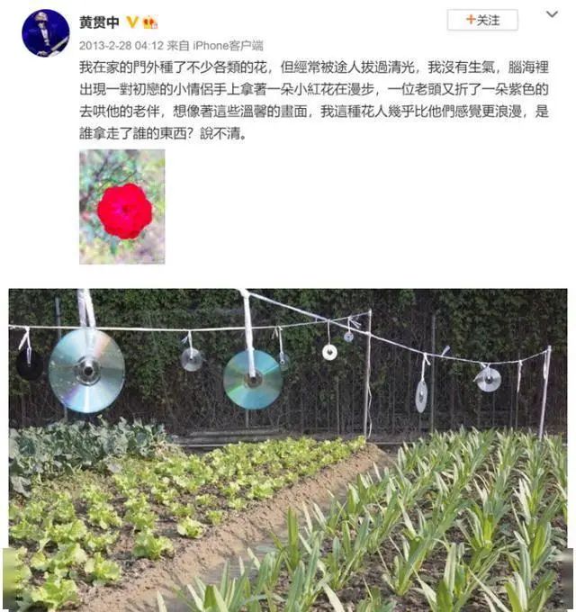 朱茵家的藏獒多少钱