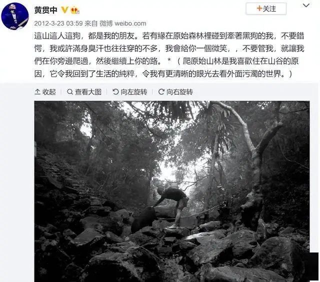 朱茵家的藏獒多少钱