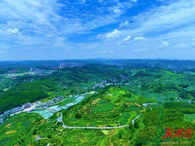 It's a fruit tree for shaanxi