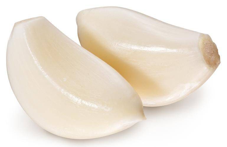 Garlic growing technology video
