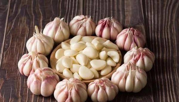 Garlic growing technology video