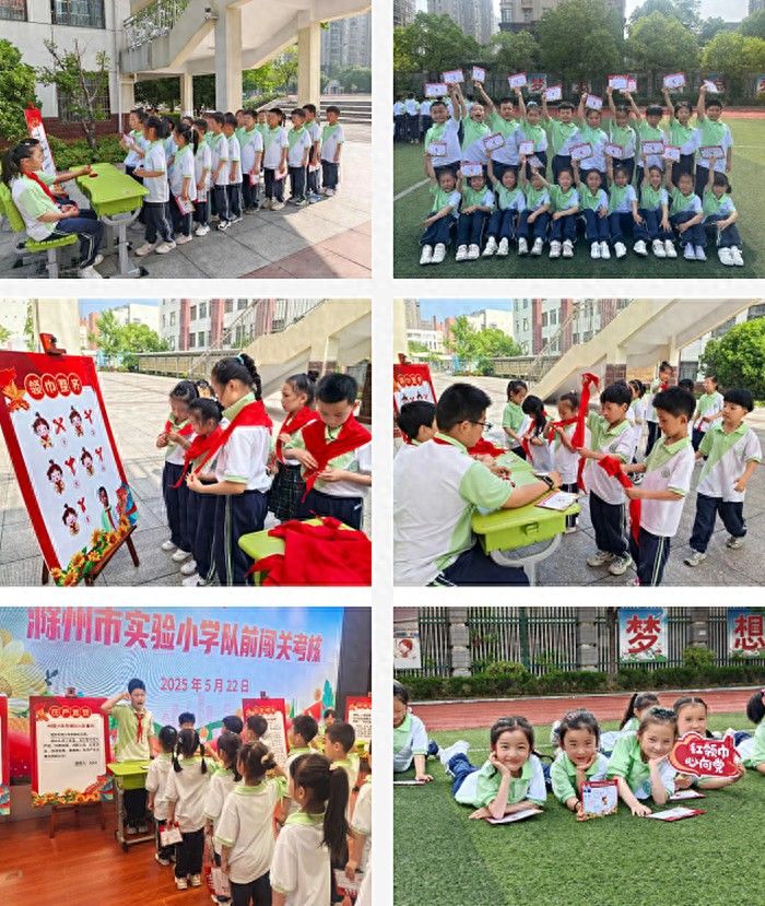 少先队基本知识学习