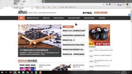 学习seo难吗