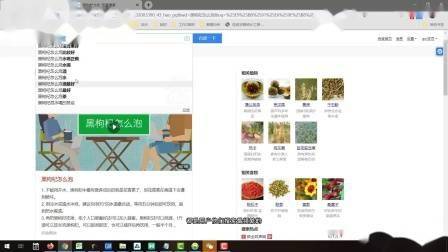 学习seo难吗