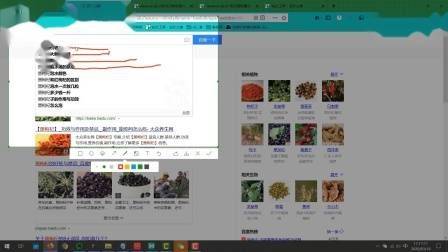 学习seo难吗