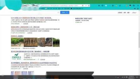 学习seo难吗