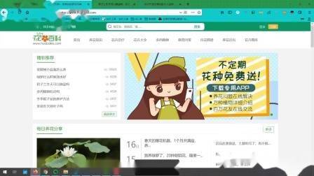 学习seo难吗