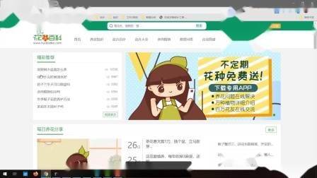 学习seo难吗