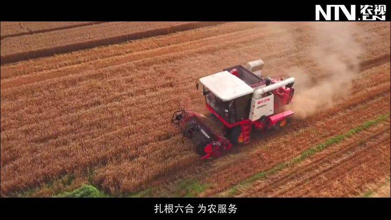 Garlic growing technology video