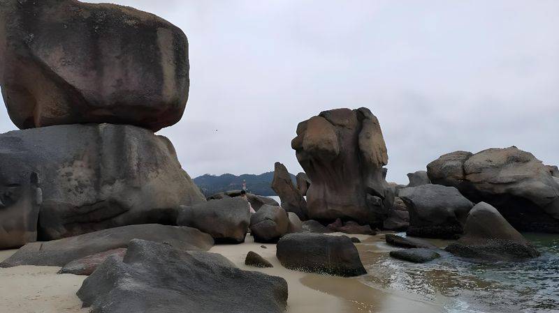 巽寮湾出海捕鱼费用