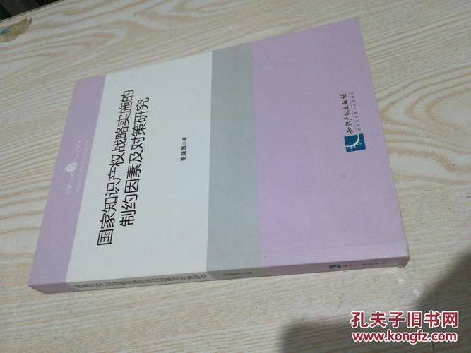 知识产权现状说明