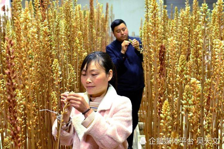 Technologies for the cultivation of urethane
