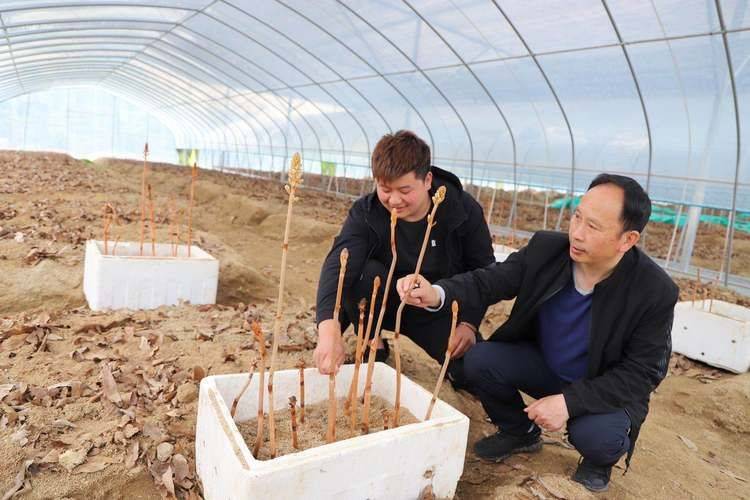 Technologies for the cultivation of urethane