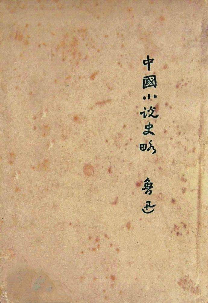 20世纪的两个知识分子：胡适与鲁迅