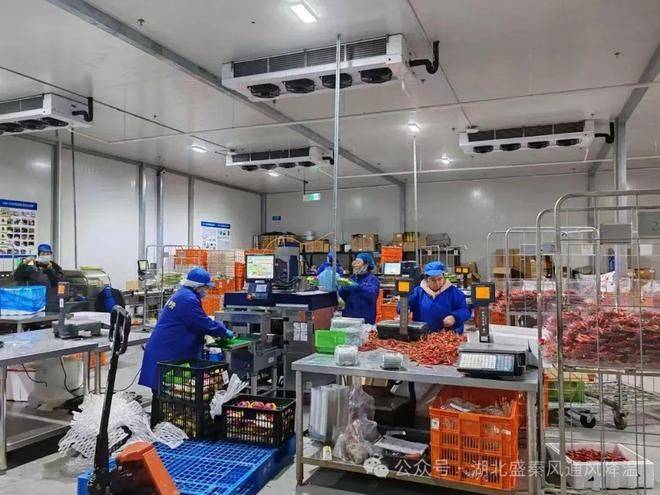 Refrigeration maintenance. Refrigeration price