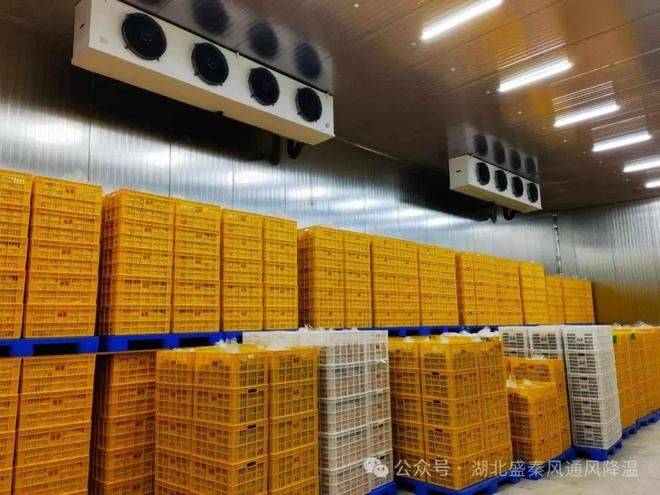 Refrigeration maintenance. Refrigeration price