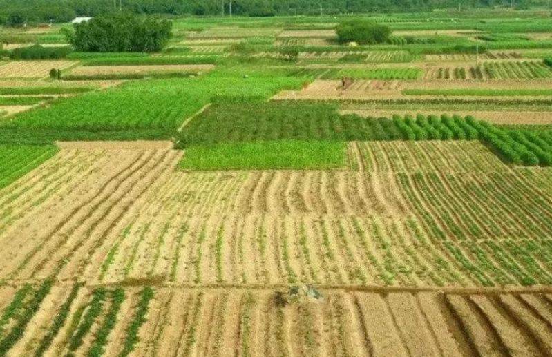 How much per acre
