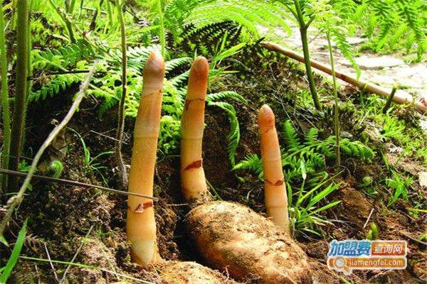 Technologies for the cultivation of urethane