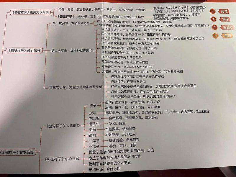 骆驼祥子知识概括