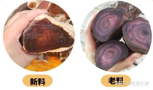 黄花梨树苗种植技术