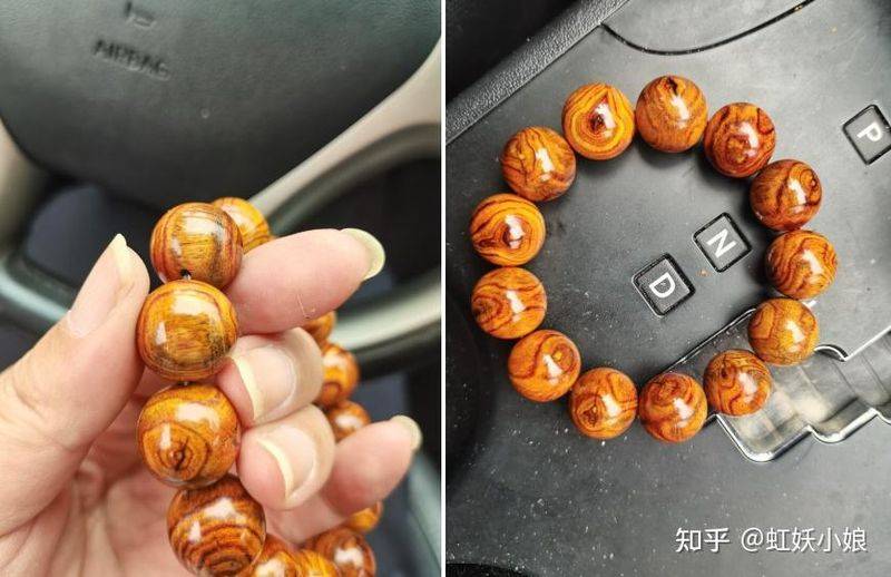 黄花梨树苗种植技术