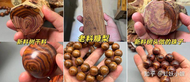 黄花梨树苗种植技术