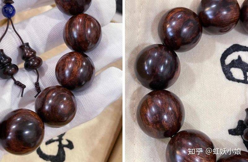 黄花梨树苗种植技术