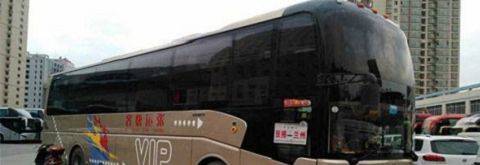 What's the bus from shanghai to qingdao? Money