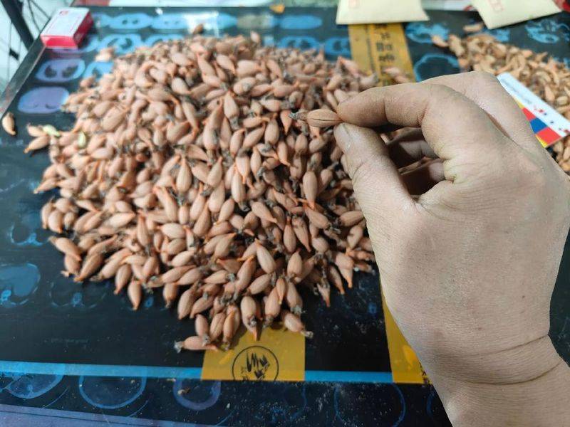 Technologies for the cultivation of urethane