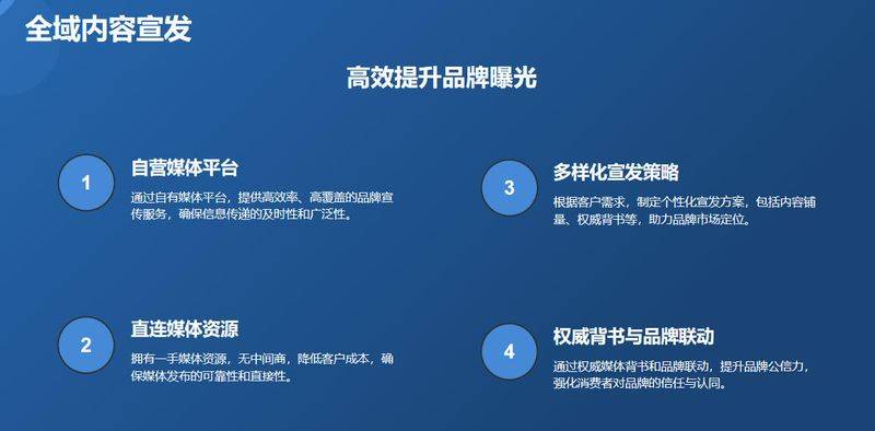 北京seo网站诊断