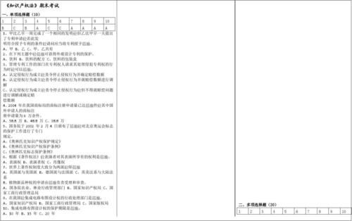知识产权现状说明