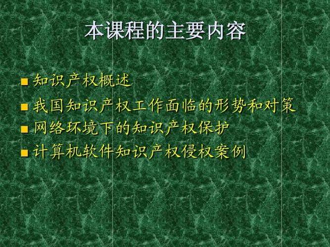 知识产权现状说明