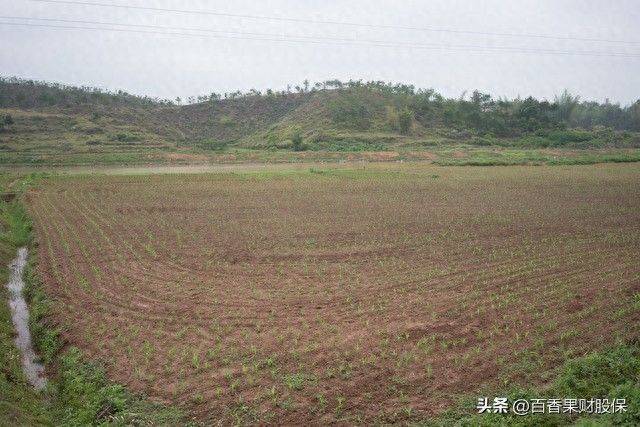 新土地法每亩地多少钱