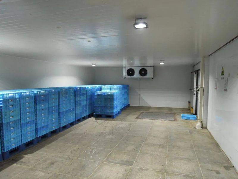 Refrigeration maintenance. Refrigeration price
