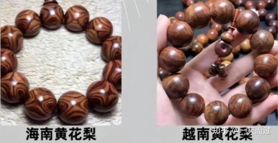 黄花梨树苗种植技术