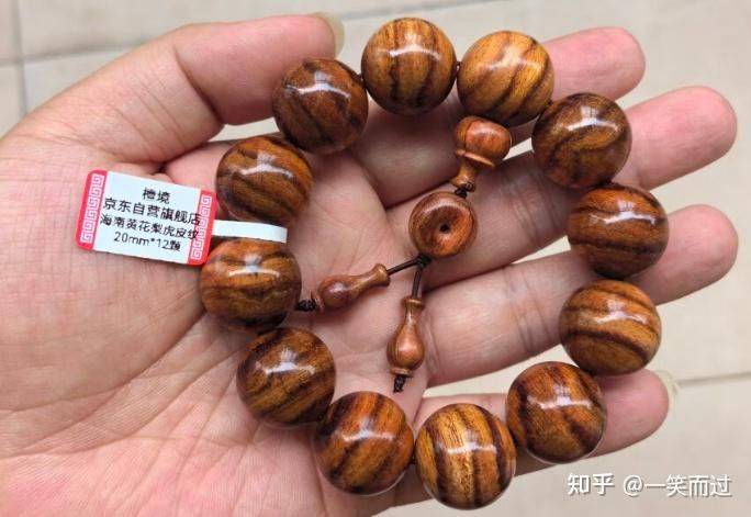 黄花梨树苗种植技术