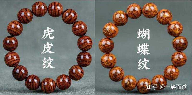 黄花梨树苗种植技术