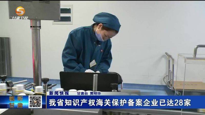 Customs protection network for intellectual property