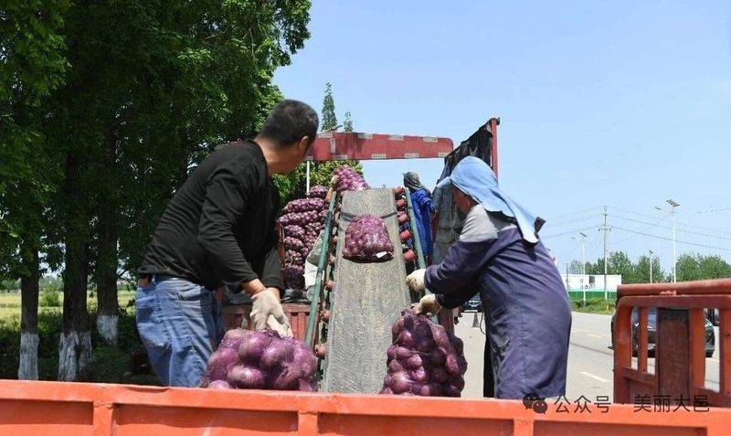 Video of onion planting methods