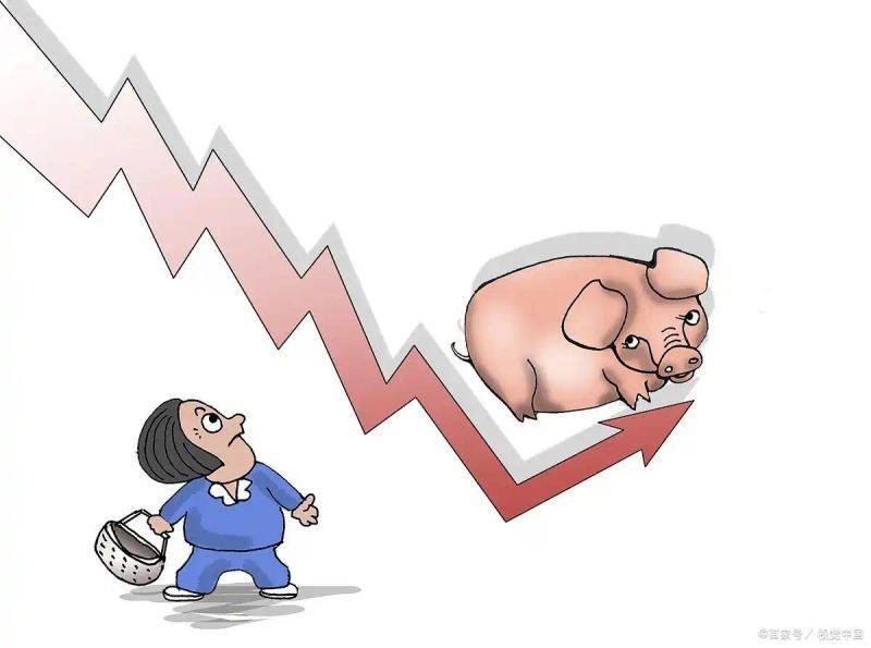 Reasons for the increase in pork prices in 2026