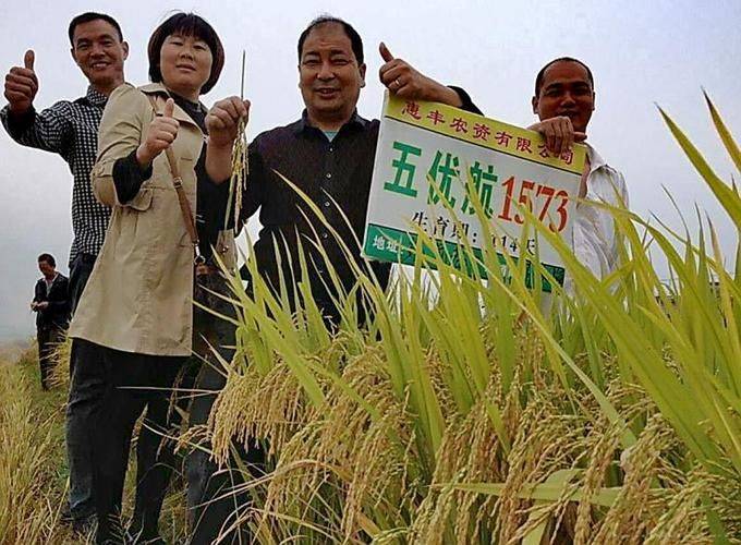 Agricultural techniques for regenerative rice