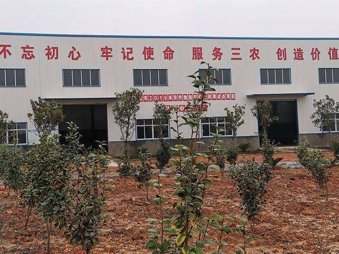 Agricultural techniques for regenerative rice