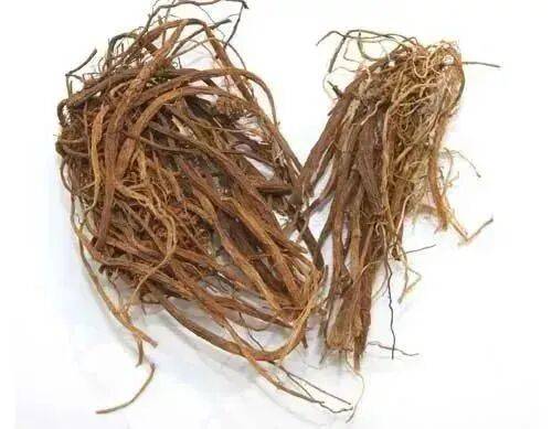 A thousand needles of grass growing technology