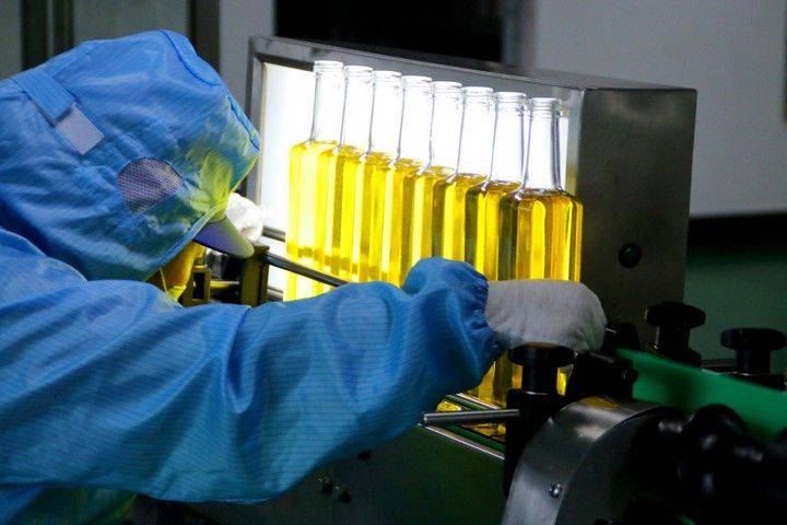 Technology for mountain oil and tea tree cultivation