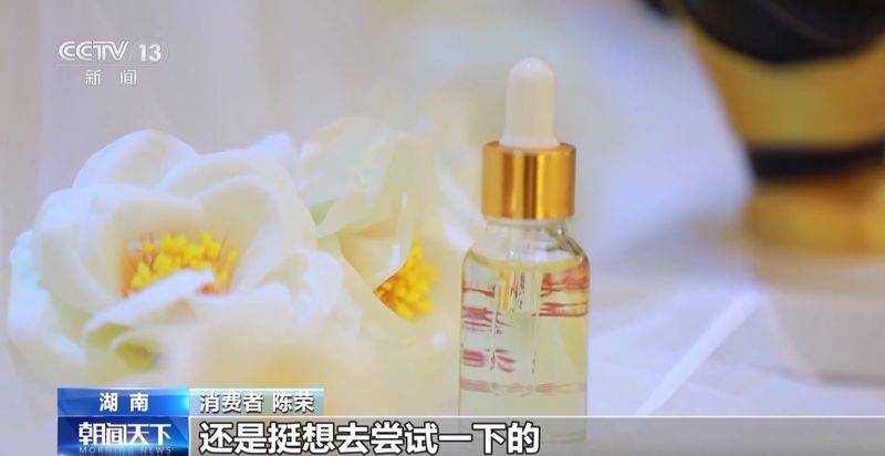 Technology for mountain oil and tea tree cultivation