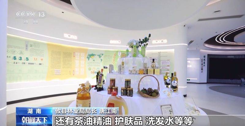 Technology for mountain oil and tea tree cultivation