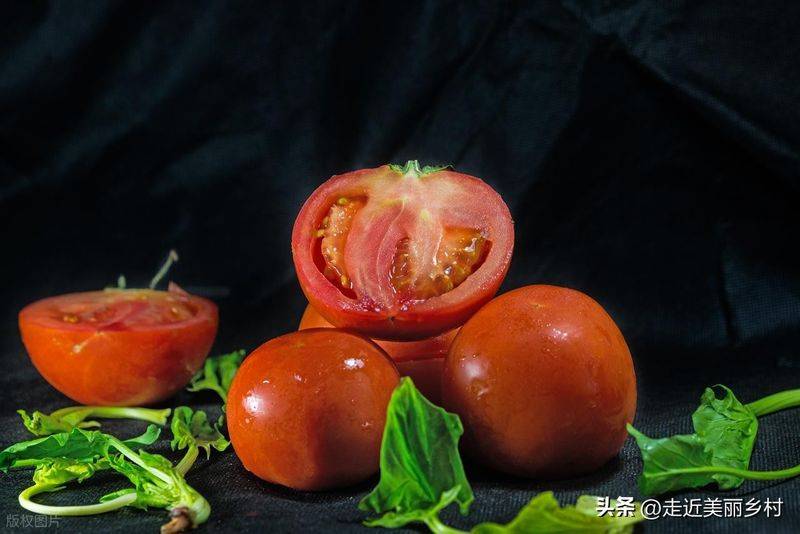 Technology for hard powder tomatoes